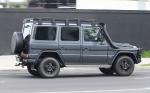 Mercedes-Benz G300 CDI Professional 2017 года (AU)